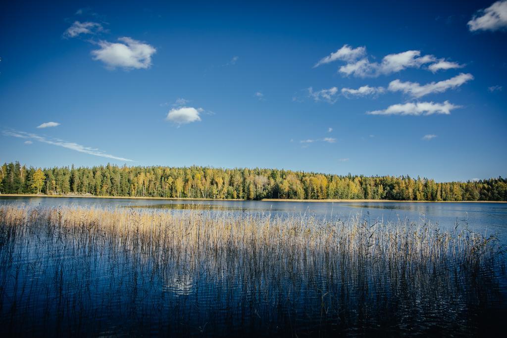 Sleepwell Villa Hartola By The Lake Kirkkola Exterior foto